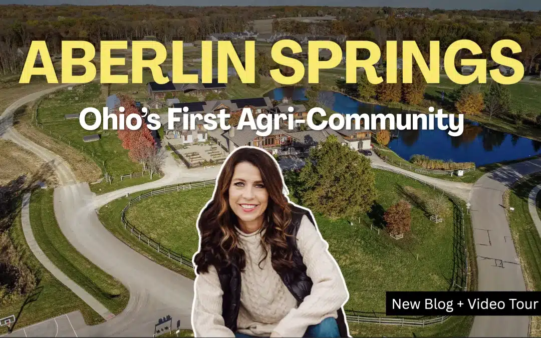 Monika DeRoussel in front of an aerial view of Aberlin Springs, Ohio’s first agri-community, with farm animals and garden scenes highlighting the neighborhood.