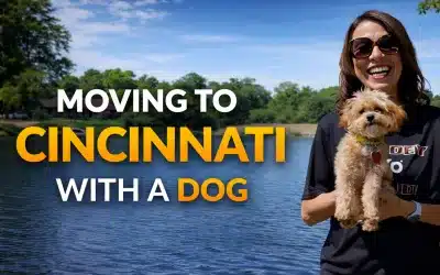 Moving to Cincinnati With a Dog | Best Pet-Friendly Areas
